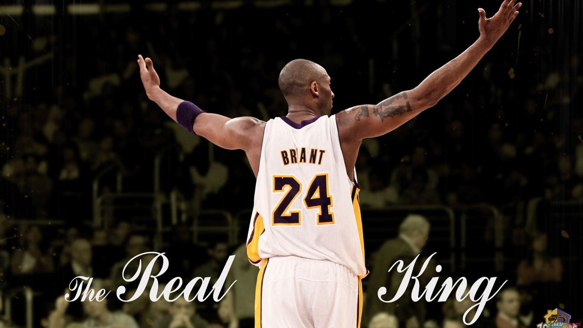 开云在线入口-如何通过掩护制造空位三分机会