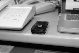 开云官网-技术数据揭示冠军转身平均仅0.65秒，冠军转盘